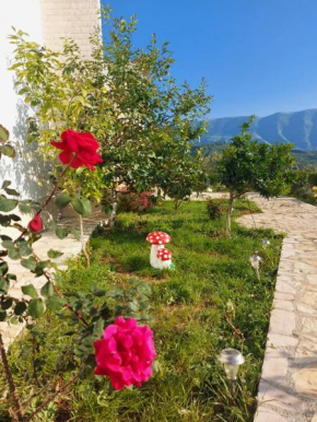 Vlore Casa Vacanze